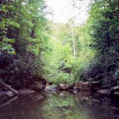 Upstream of Dog Fork